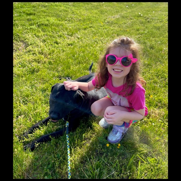 🐶 Closet Update 🐶 - Picture 2 of 7